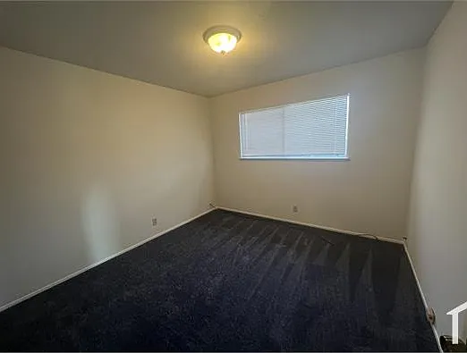 2426 Fern St #D — Photo 10