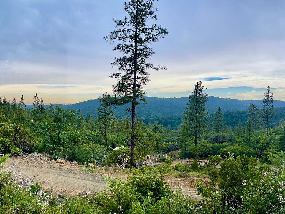 16275 Wild Rose Way, Brownsville, CA 95919 MLS 223075339 Zillow