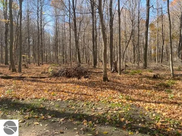 868 W 4th Rd #A, Buckley, MI 49620