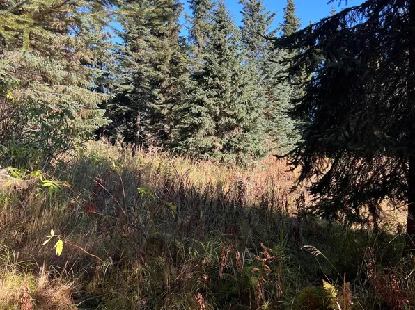 L9 Shegota Loop, Ninilchik, AK 99639