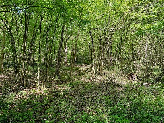 5th image of 3372 Dinkenberger Rd
