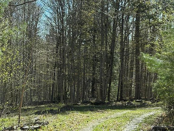 3rd image of 3 Station Rd