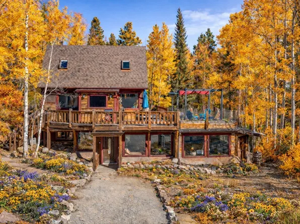 495 Edgewood Rd, Alma, CO 80420