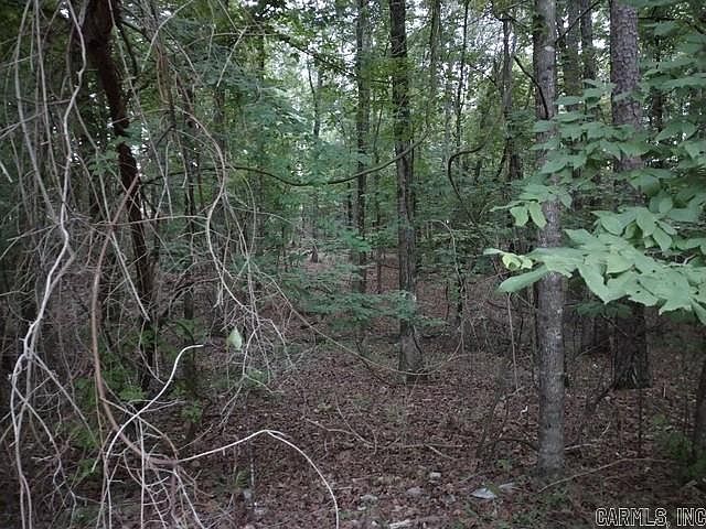 2nd image of 9 Bosque Ln