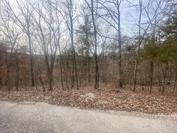 50 Lots Steamboat Springs Landing, Galena, MO 65656