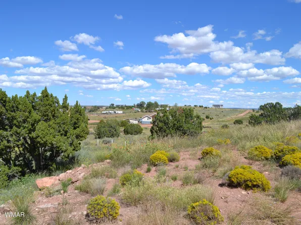 Chris Ln, Taylor, AZ 85939