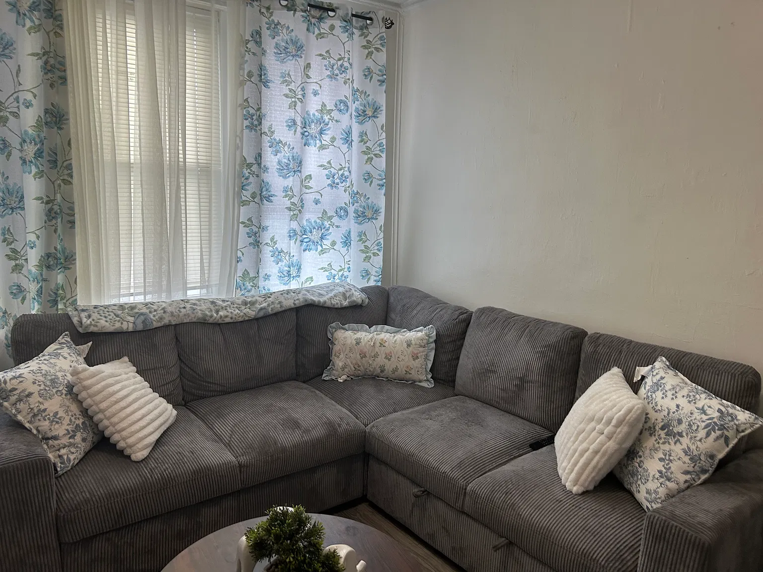 1 bed, $1,650 — Photo 1