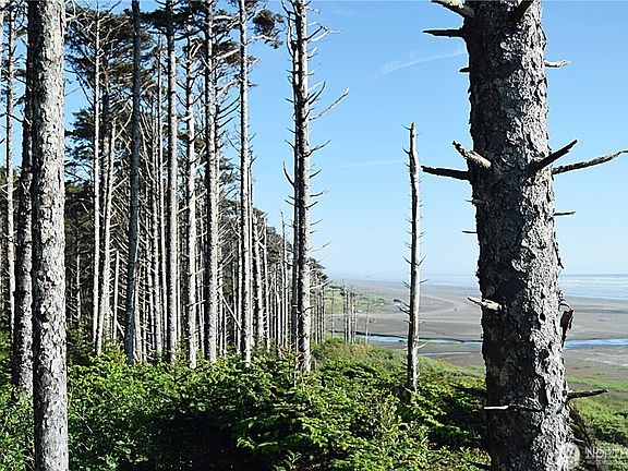 2nd image of 5 & 6 Roosevelt Beach Lots