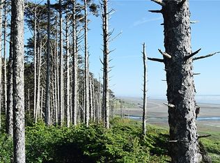 5 & 6 Roosevelt Beach Rd, Pacific Beach, WA 98571