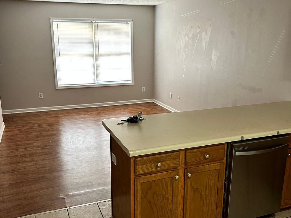 Kitchen and Living Room Area