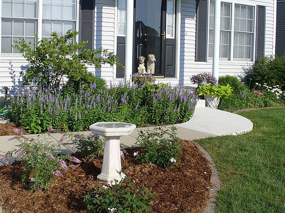 Professional landscaping