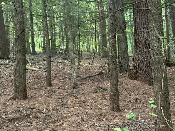 344 Dickinson Hill Road, Bolton, NY 12824