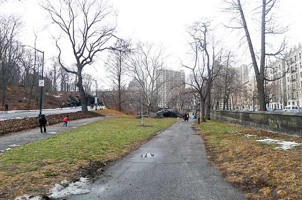 Rented by Citi Habitats | media 79