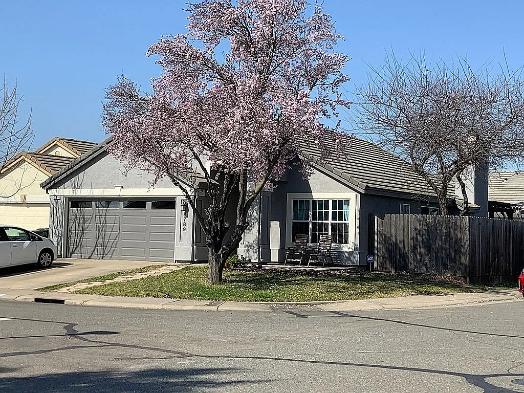 8789 Owlet Ct photo 1