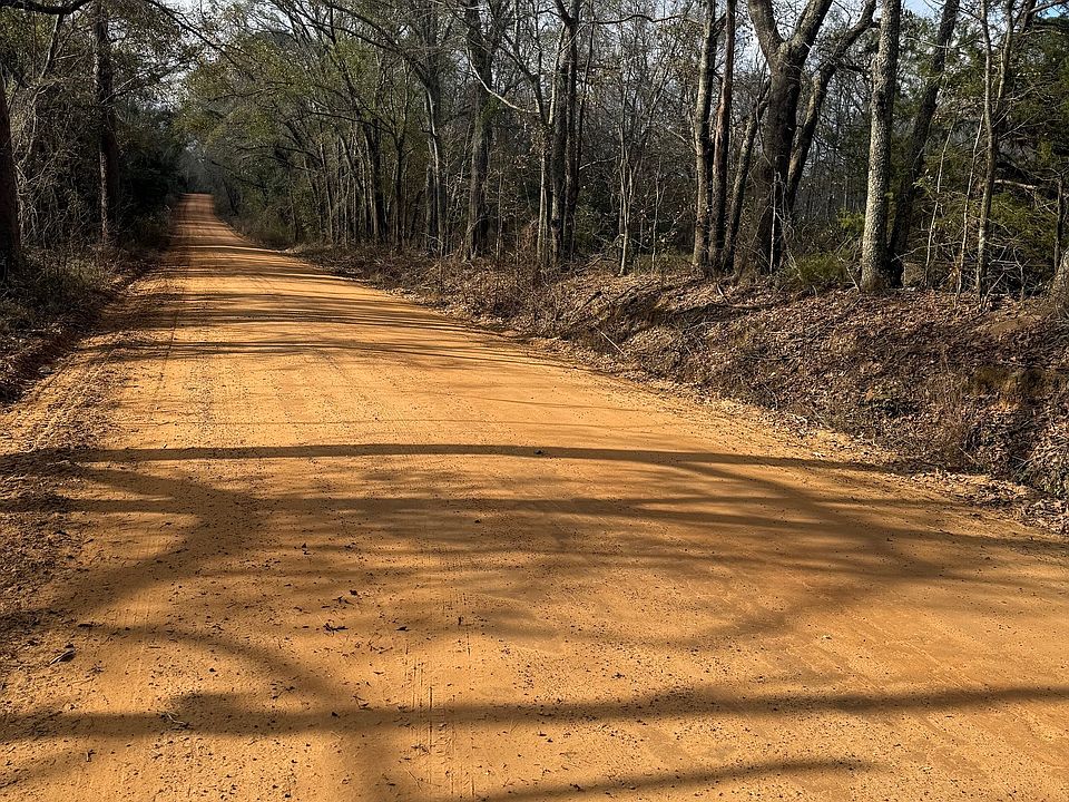 2nd image of 0 George Moore Rd