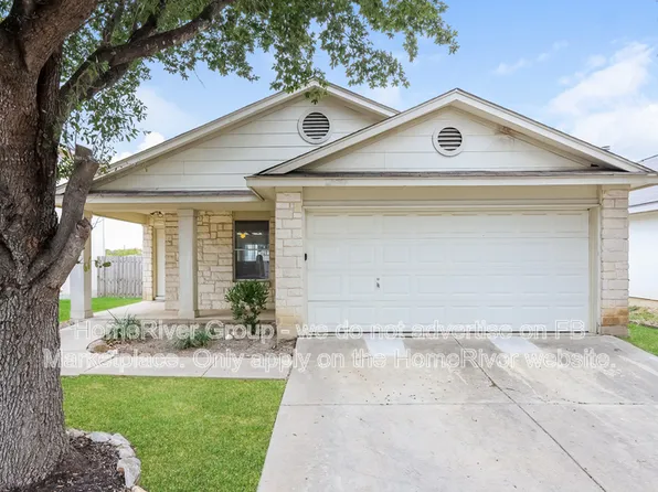14211 Yellow Warbler, San Antonio, TX 78233