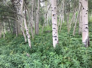 Elsie Ave, Fulford, CO 81657