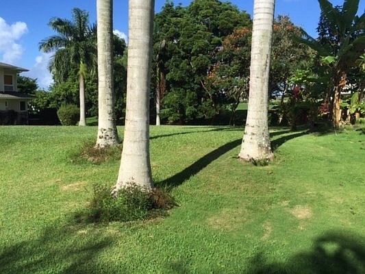 2nd image of 3987 Kamehameha Rd