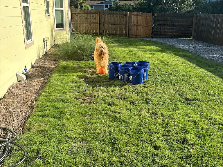 4320 Catherine St — Photo 37