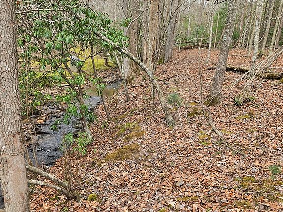 4th image of 8.5 Blue Berry Rdg