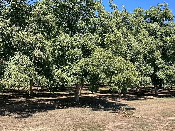 Chandon Ave, Gridley, CA 95948