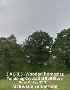 0 Tumbling Creek Rd, Mc Kenzie, TN, 38201