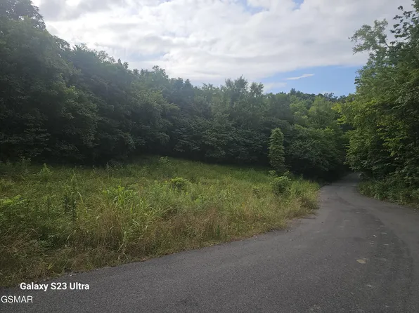 0 Ivy Way, Newport, TN 37821