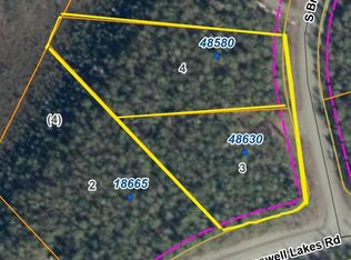48580 S Brown Bear Rd, Talkeetna, AK 99676