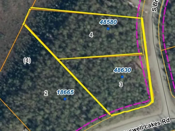 48580 S Brown Bear Rd, Talkeetna, AK 99676