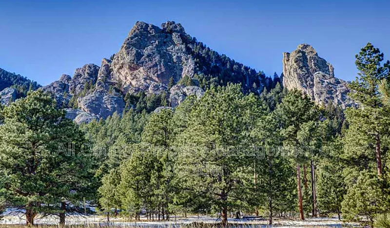 2 bed, 2.0 bath, 600 sqft, $2,250 — Photo 3