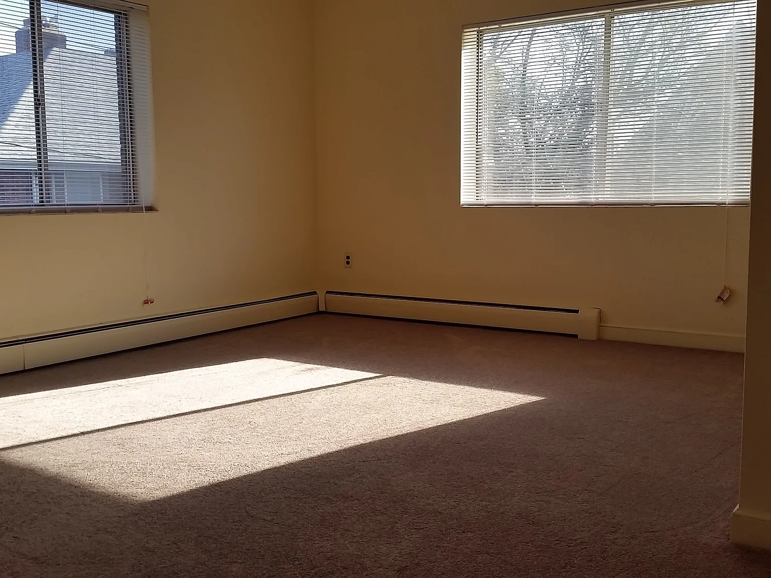 Studio, 275 sqft, $1,500 — Photo 4