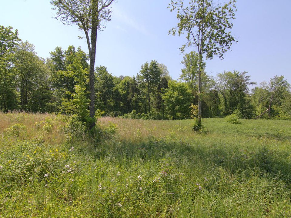 2nd image of 449 Linginfelter Ln