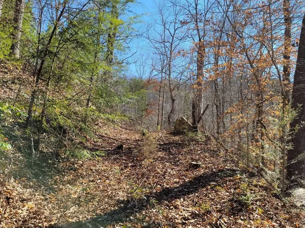 3020 Mica Way, Cosby, TN 37722