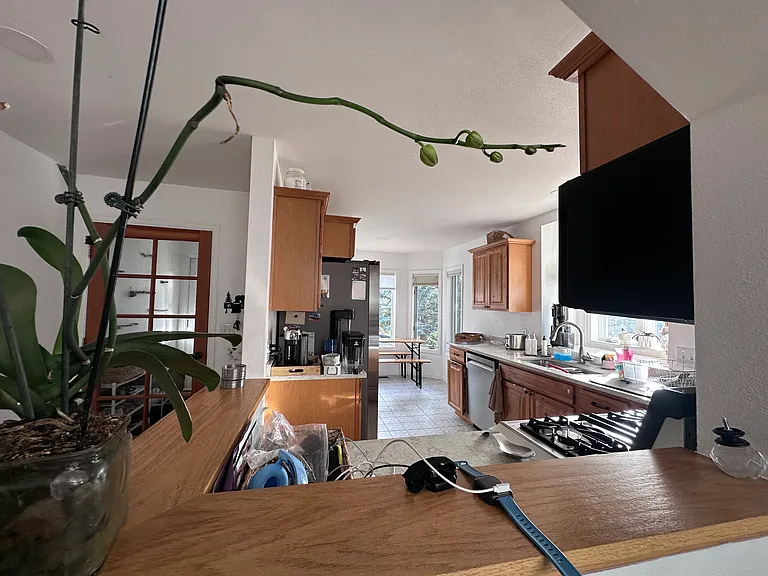 880 Homestead Dr — Photo 40