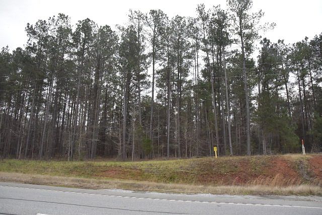 1st image of 5 Olive Rose Dr