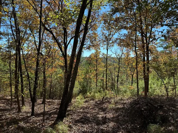0 Culp Lake Rd Tract 2, Cedartown, GA 30125