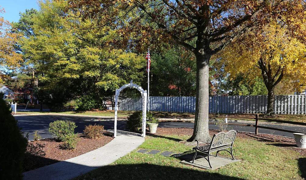 Colony Wood Rentals - 919 - 919M — Photo 4