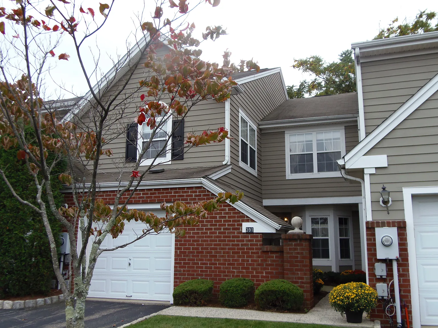 391 Digaetano Ter #391 photo 1