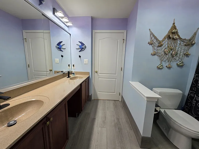 Jack and Jill Bathroom