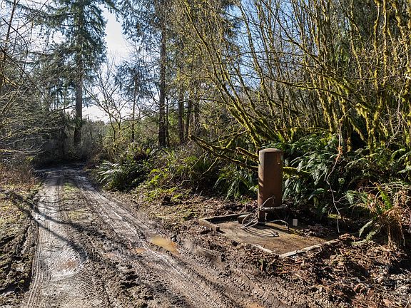 3rd image of 71909 Apiary Rd