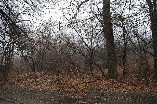2nd image of 26 Hickory Ln