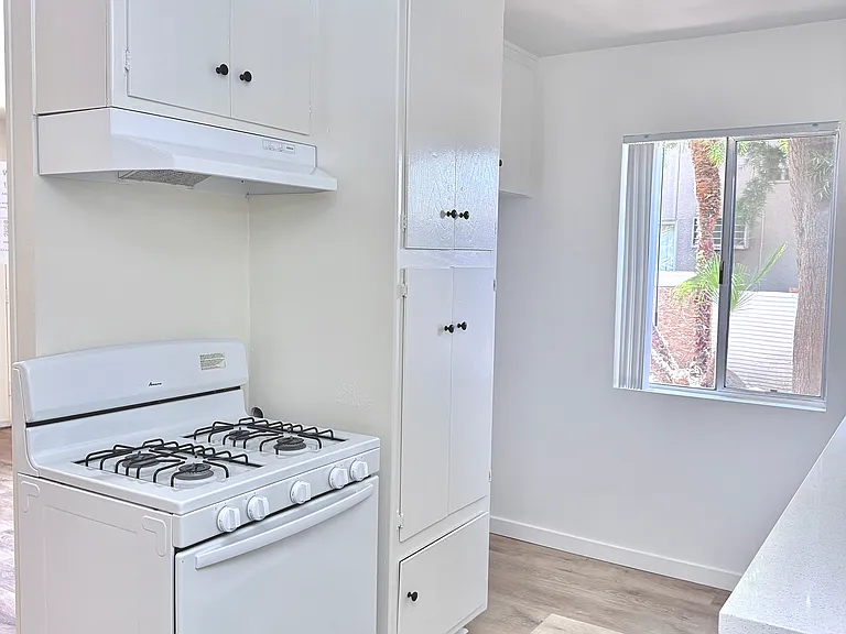 6621 Hazeltine Ave #1 — Photo 8