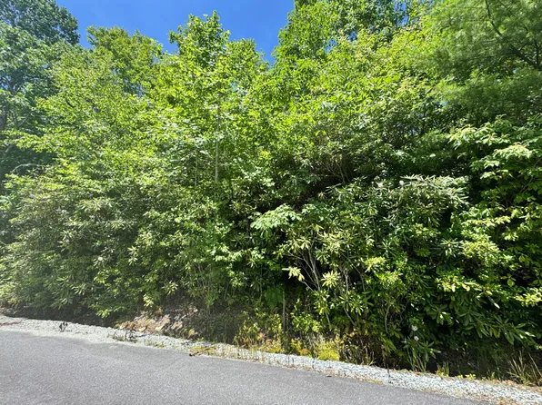 Parks Mountain Dr #2-221/217, Newland, NC 28657