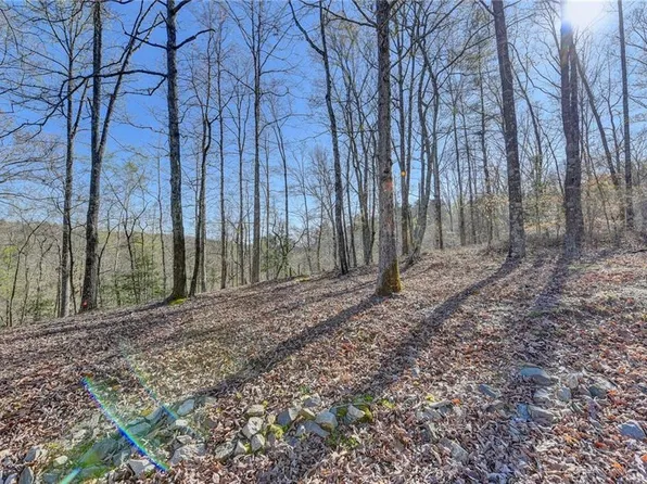 0 Peaceful Waters Circle, Demorest, GA 30535
