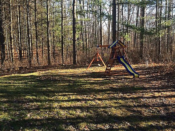 Swinging in the trees