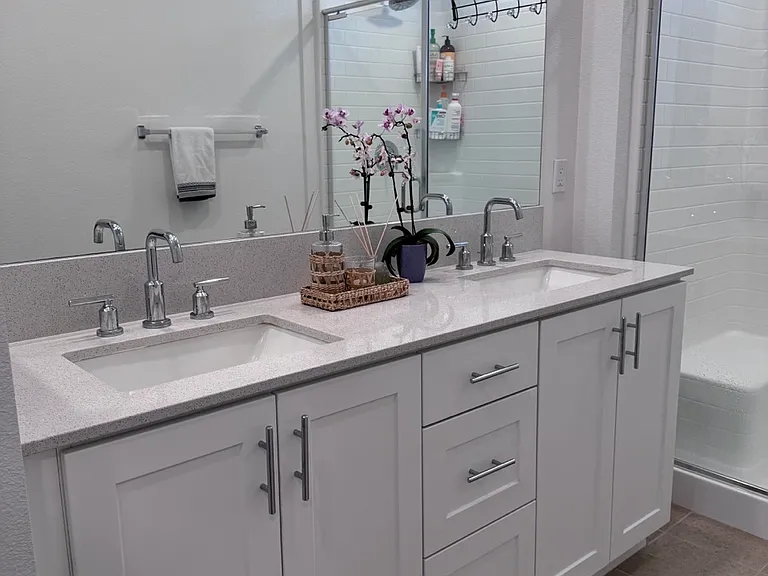 Cabinet and dual sinks