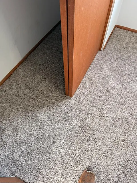 1 bed, 700 sqft, $1,050 — Photo 3