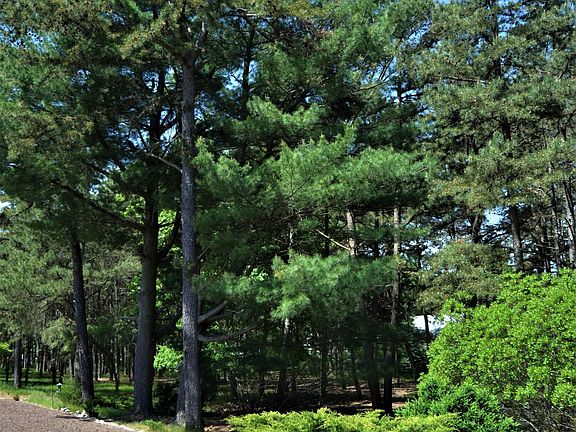 3rd image of 69 Whitaker Dr