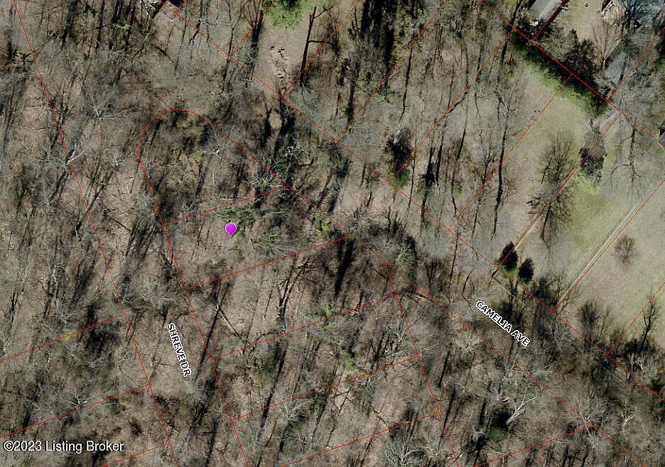 2nd image of 515 Shreve Dr