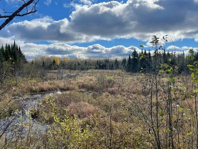 11900 W Irish Line Rd, Brimley, MI, 49715